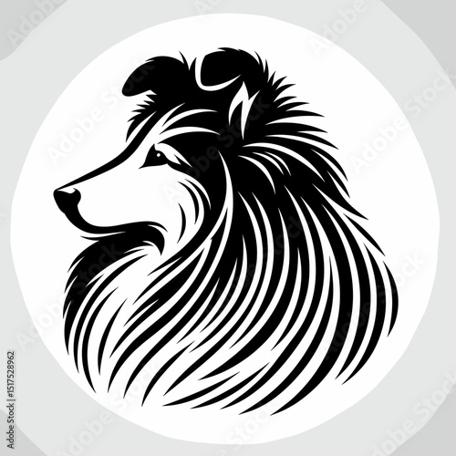 Shetland Sheepdog head in black and white