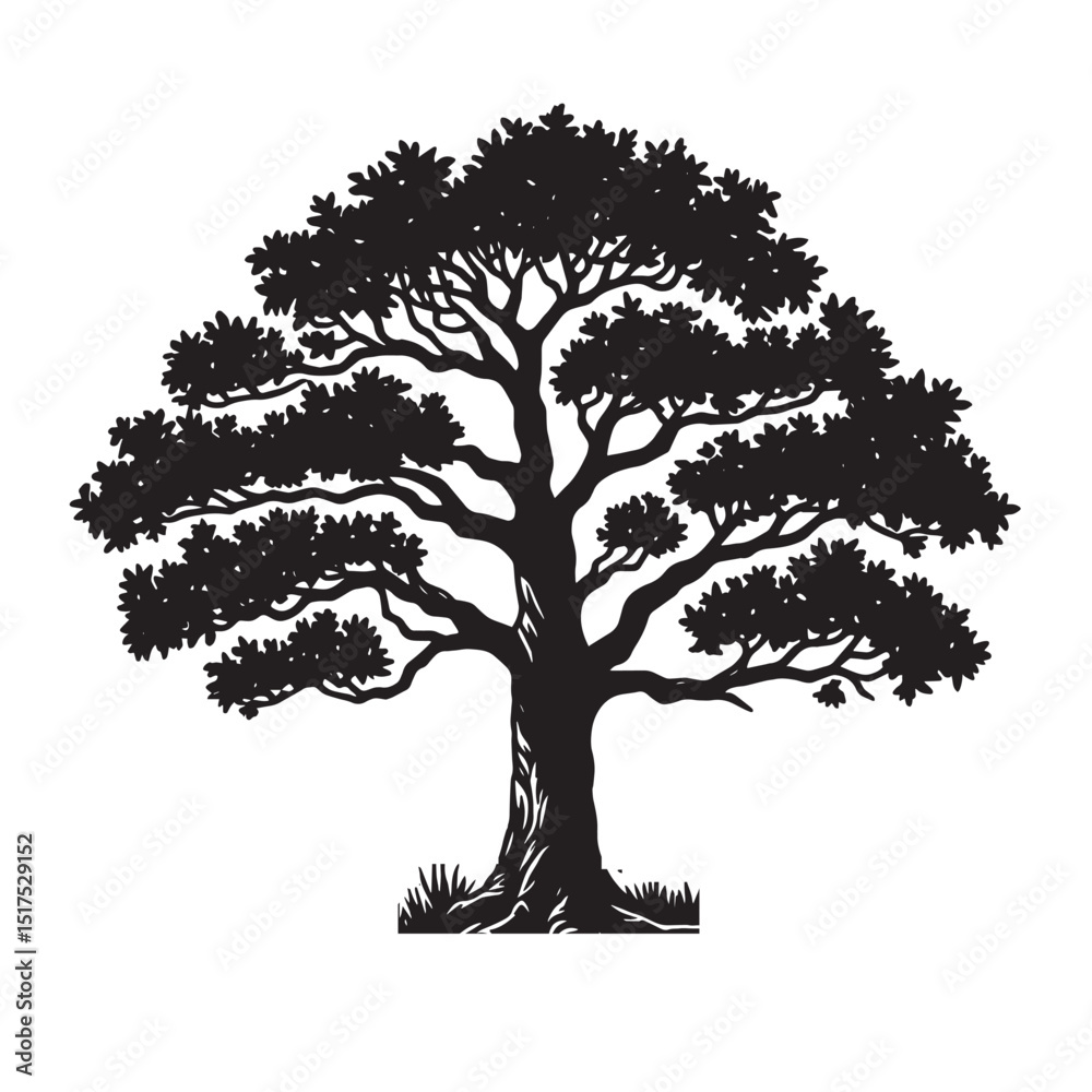 Fototapeta premium Oak Tree SVG 