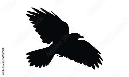 Flying Alpine chough bird Silhouette Design  And Vector Illustration. 