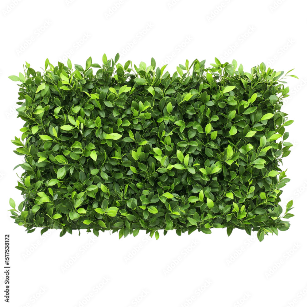 Obraz premium Lush green leaves dense foliage natural texture background