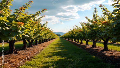 Picturesque orchard with seasonal harvests