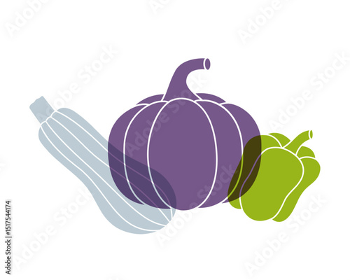 Organic vegetables color icons. Zucchini, pumpkin, bell pepper. Natural vegetarian foods symbol. Organic farm company logotype template.