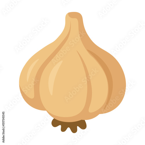 Flat cartoon garlic bulb illustration for cooking, barbecue, kitchen, seasoning and recipe design.