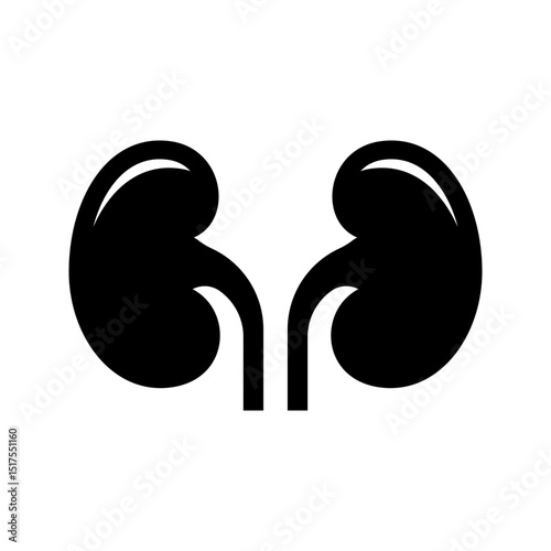 Black kidney icon isolated on white background.