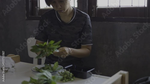 Woman Sits Picking Basil Leaves, Video footage for documentary and cinematic in food scene.