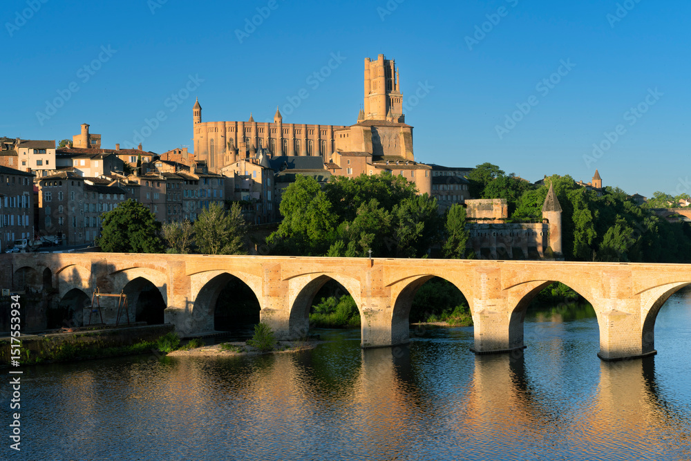 Obraz premium Famous Albi village in France