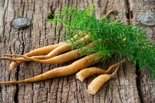 Shatavari or Asparagus racemosus roots on wooden background. herbal or ayurvedic medicine
