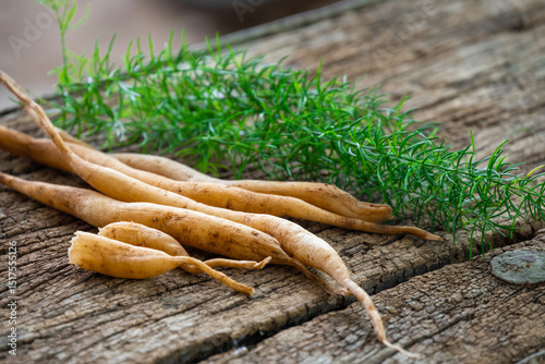Shatavari or Asparagus racemosus roots on wooden background. herbal or ayurvedic medicine