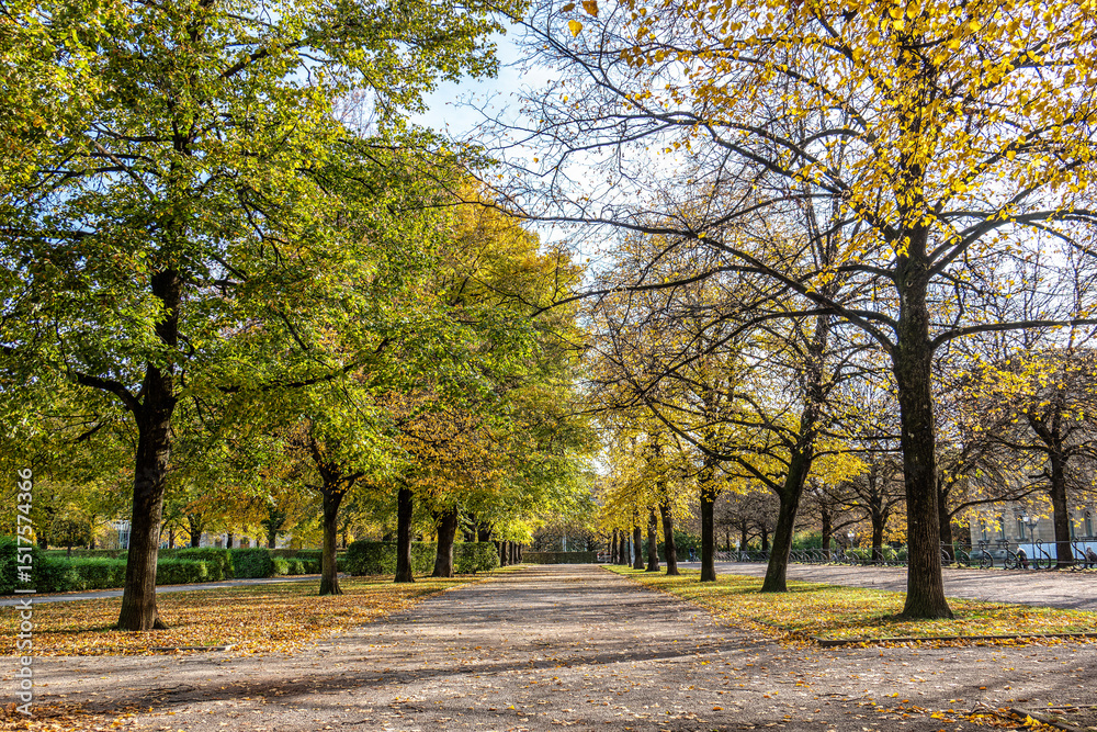 Naklejka premium Walking in Hofgarten Park in Munich on an autumn day, Germany