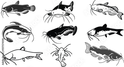 fish silhouette, catfish silhouettes vector design.
