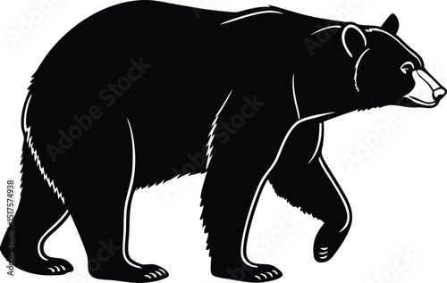 Bear Svg Bundle, Mama Bear SVG Bundle, Bear PNG Bundle, Family Bear Svg, Polar Bear Svg, Bear Head Svg, Grizzly Bear Svg