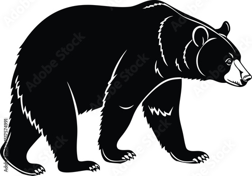 Bear Svg Bundle, Mama Bear SVG Bundle, Bear PNG Bundle, Family Bear Svg, Polar Bear Svg, Bear Head Svg, Grizzly Bear Svg