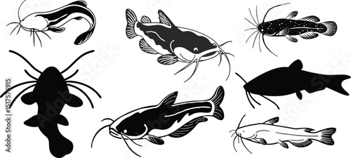 fish silhouette, catfish silhouettes vector design.