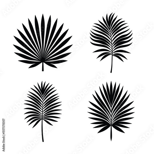 Palm Tree Leaf Vector Silhouette Illustration for Tropical Vacation and Nature Theme Designs