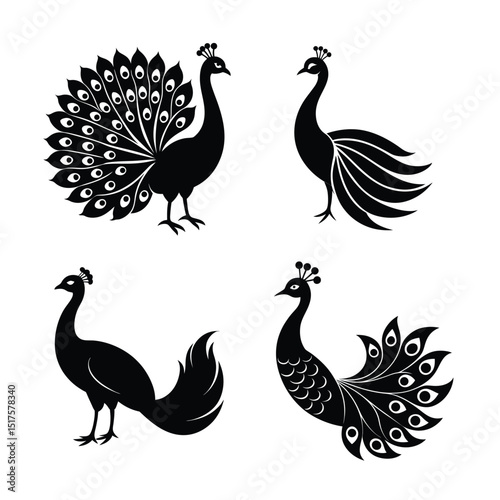 Peacock Bird Vector Silhouettes Illustration for Elegant Animal and Nature Design Elements