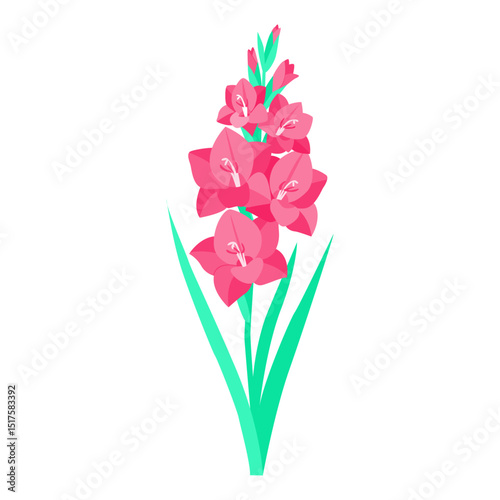 Stylized Pink Gladiolus Flower Spike Illustration