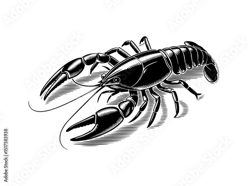 Black and white crayfish illustration vintage style
