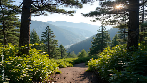 Serene nature trail with scenic overlooks