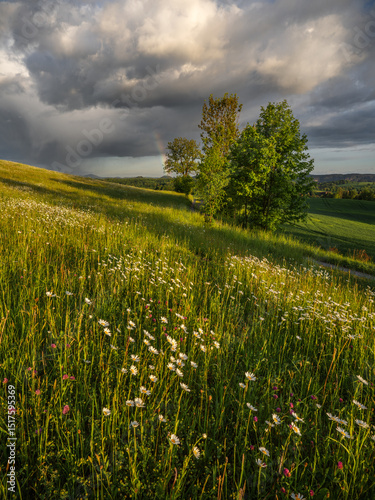 Between sun and rain - zwischen Sonne und Regen