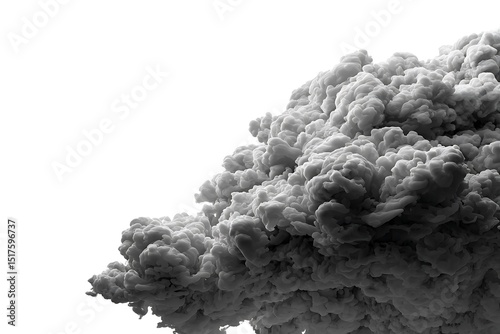 Monochrome textured cloud against a white background