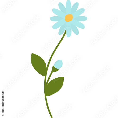 Hand Drawn Daisy Flower