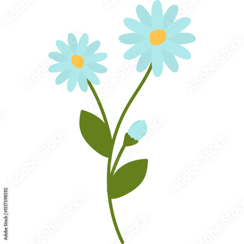 Hand Drawn Daisy Flower