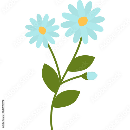 Hand Drawn Daisy Flower