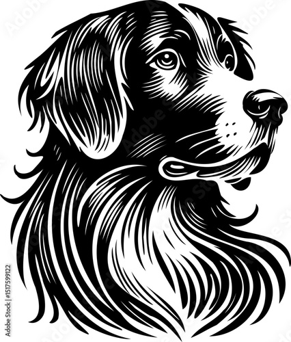 SVG dog Australian Shepherd, black and white file for printing, cutting