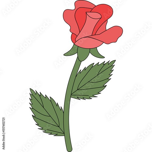 Handdrawn Rose Flower Decoration