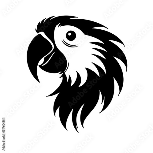 head of a eagle