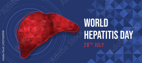 World Hepatitis Day - Red Liver with low poly texture and line circle layer in liver on blue texture background vector design
