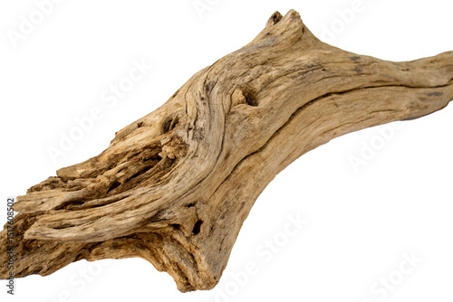 Textured driftwood sculpture with natural curves on white background