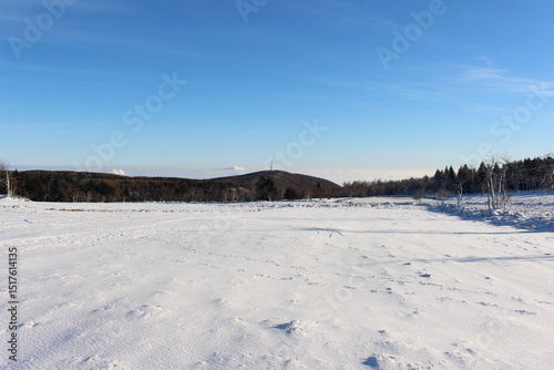 Wallpaper Mural Calm and silent snow fild with a forest behind
 Torontodigital.ca