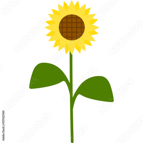 Hand Drawn Sunflower