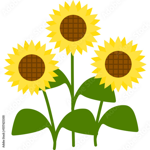 Hand Drawn Sunflower