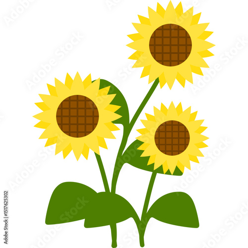 Hand Drawn Sunflower