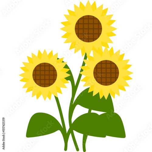 Hand Drawn Sunflower