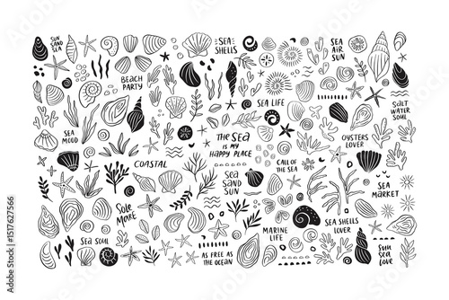 Hand drawn sea life whimsical collection