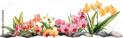 Colorful orchid flowers with green grass on rocks. Vector design illustration for Decoration