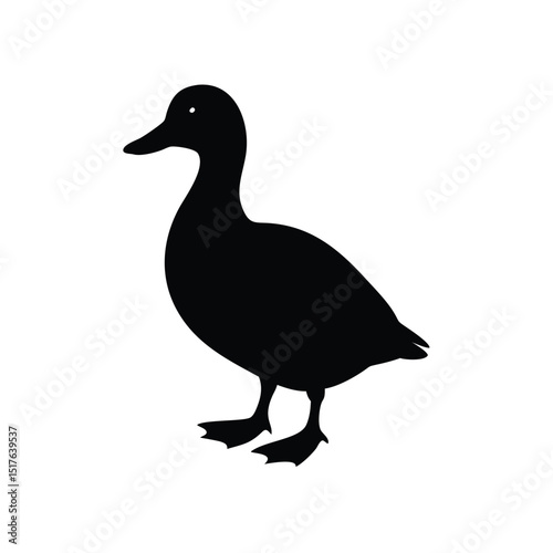 duck vector illustration