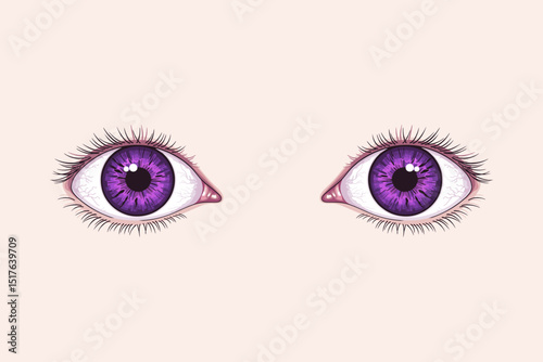 Vector illustration of a pair of human eyes with purple eyeballs