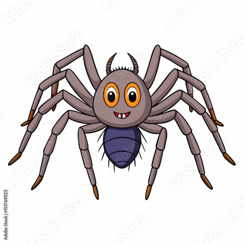 spider on a white background