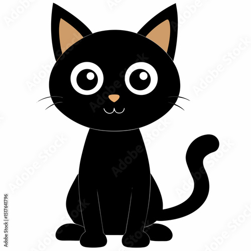 black and white cat