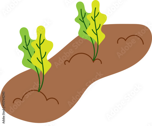 plant in hand
