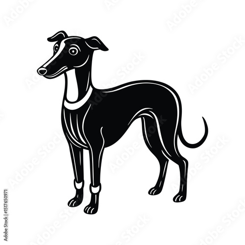 Elegant black and white vector illustration of a graceful greyhound dog in standing pose