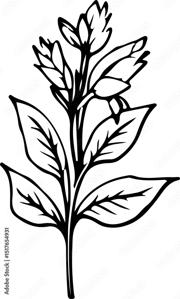 Fototapeta premium Beautiful plant stem and leaf coloring page illustration 