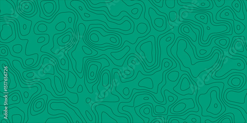 Decorative artwork with topographic styling and line detail

