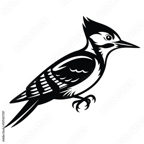 Woodpecker Clinging to Tree Bark