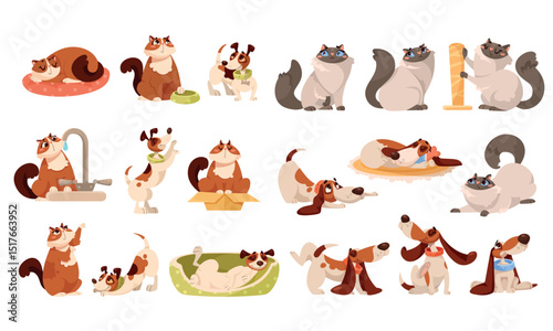 Playful Pets The Delightful and Adorable Cats and Dogs Captured in Various Playful Poses