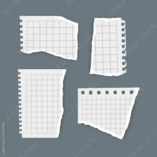 Torn Notebook Paper Pieces